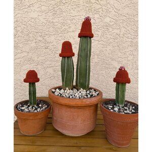 Handmade Burnt Orange Knit Cactus Hat – Winter Frost Protection Cozy w/ Foam Cup